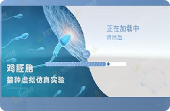 鸡胚接种技术VR虚拟仿真实验软件