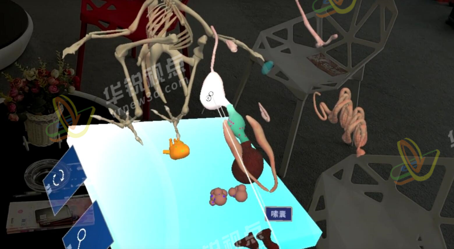 AR模拟（鸡）动物解剖教学软件