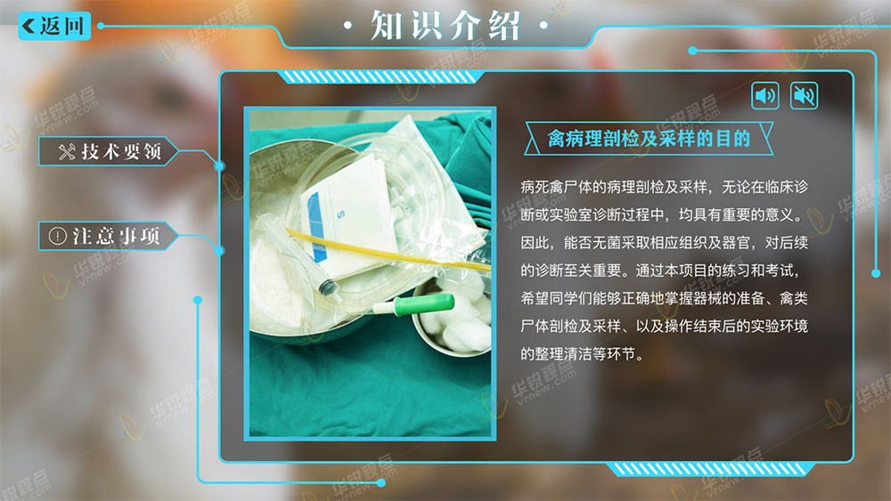 《临床病死禽类动物无菌采样》虚拟仿真培训系统