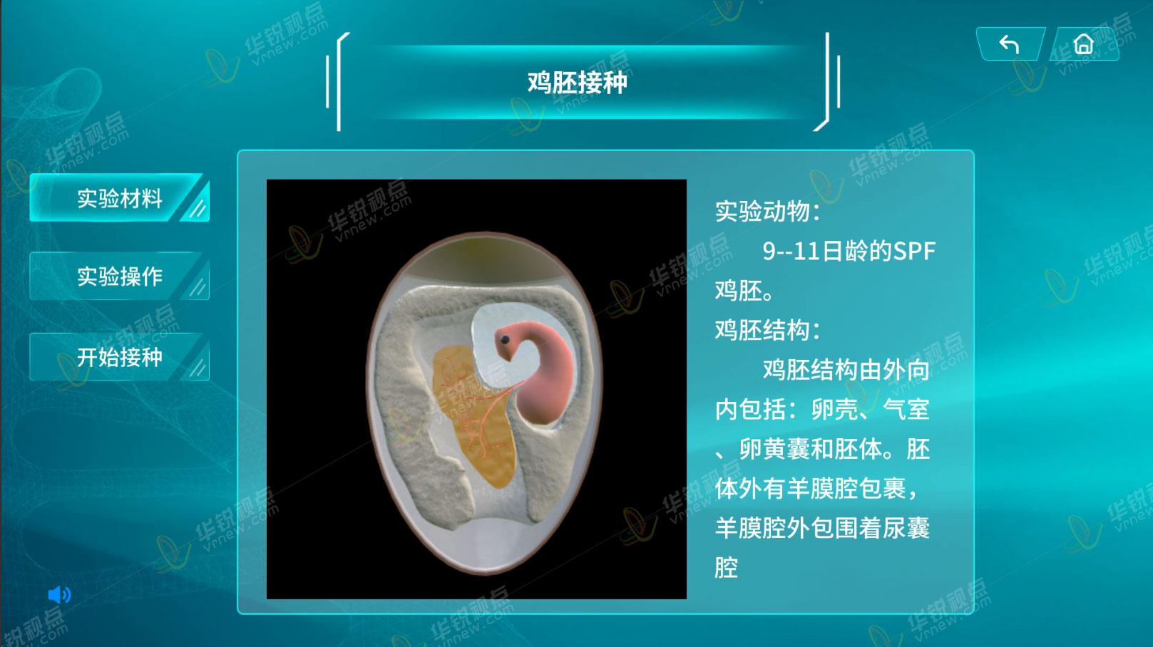 高致病性流感诊断VR虚拟仿真实验