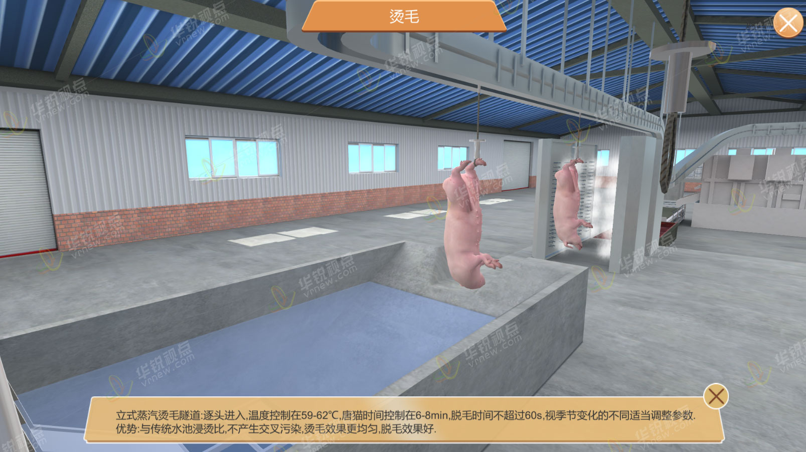 生猪屠宰及检疫VR虚拟仿真实验软件