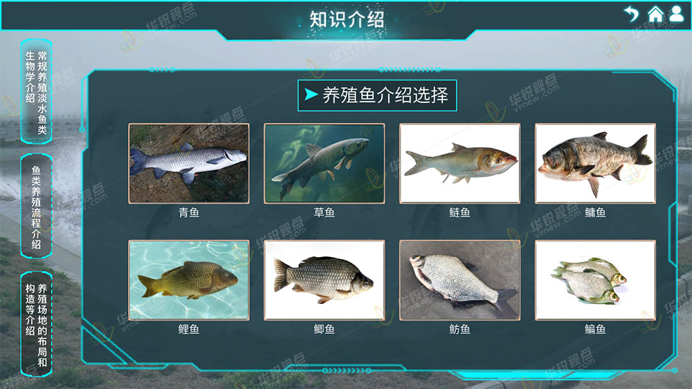 淡水鱼类成鱼养殖虚拟仿真实训系统