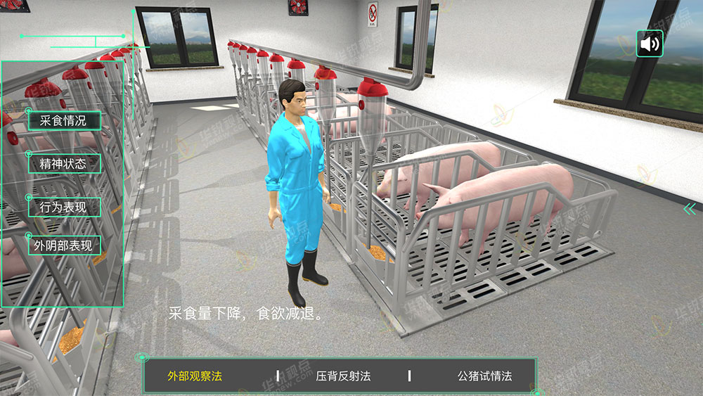畜牧类VR课件之生猪养殖虚拟仿真教学软件