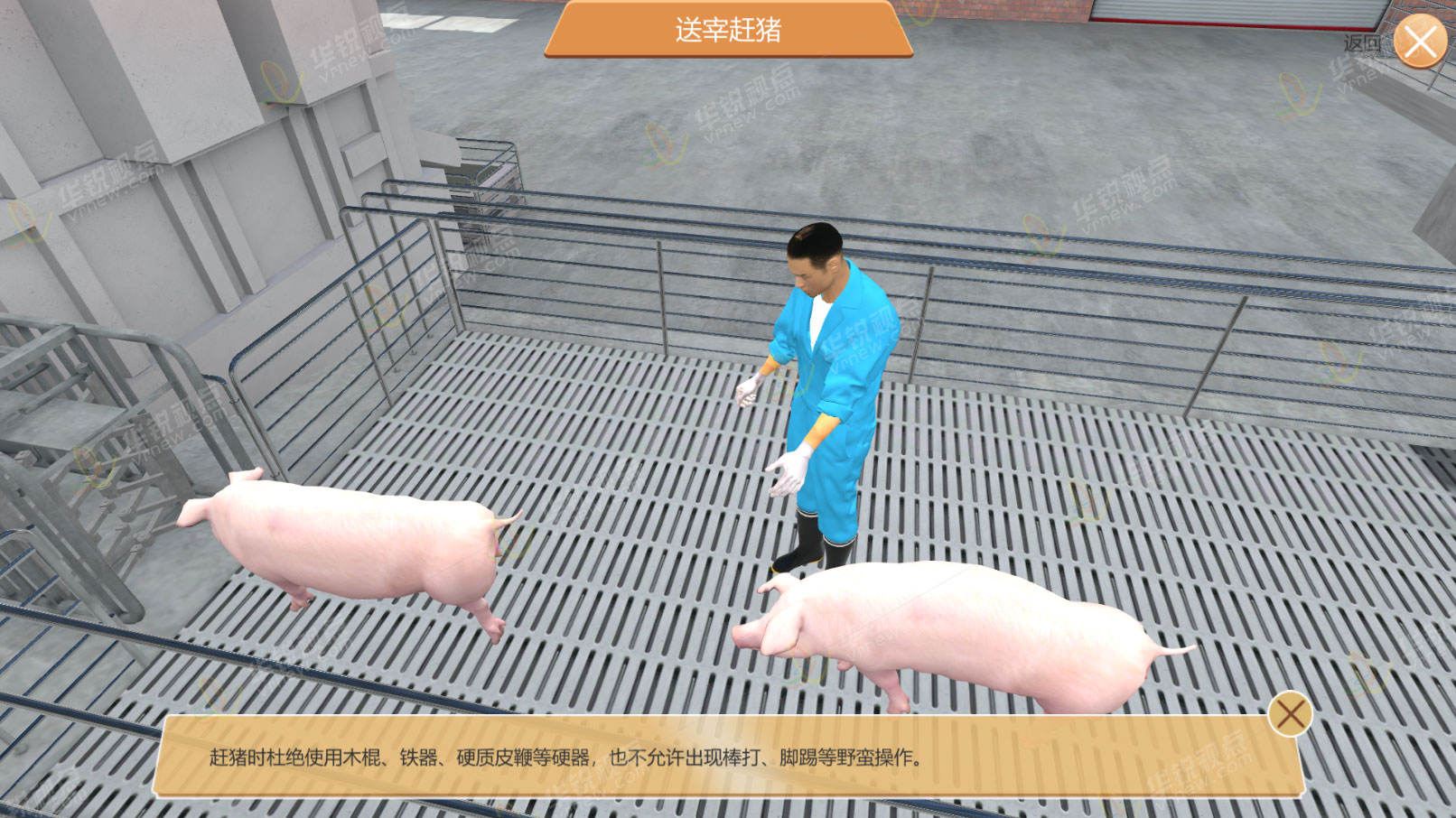 畜牧类VR课件之生猪养殖虚拟仿真教学软件