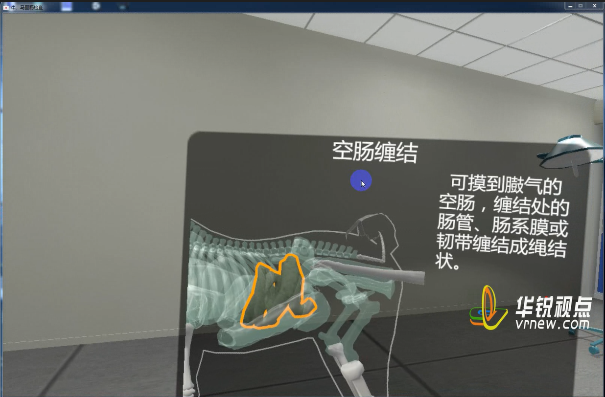牛、马直肠检查虚拟仿真实验