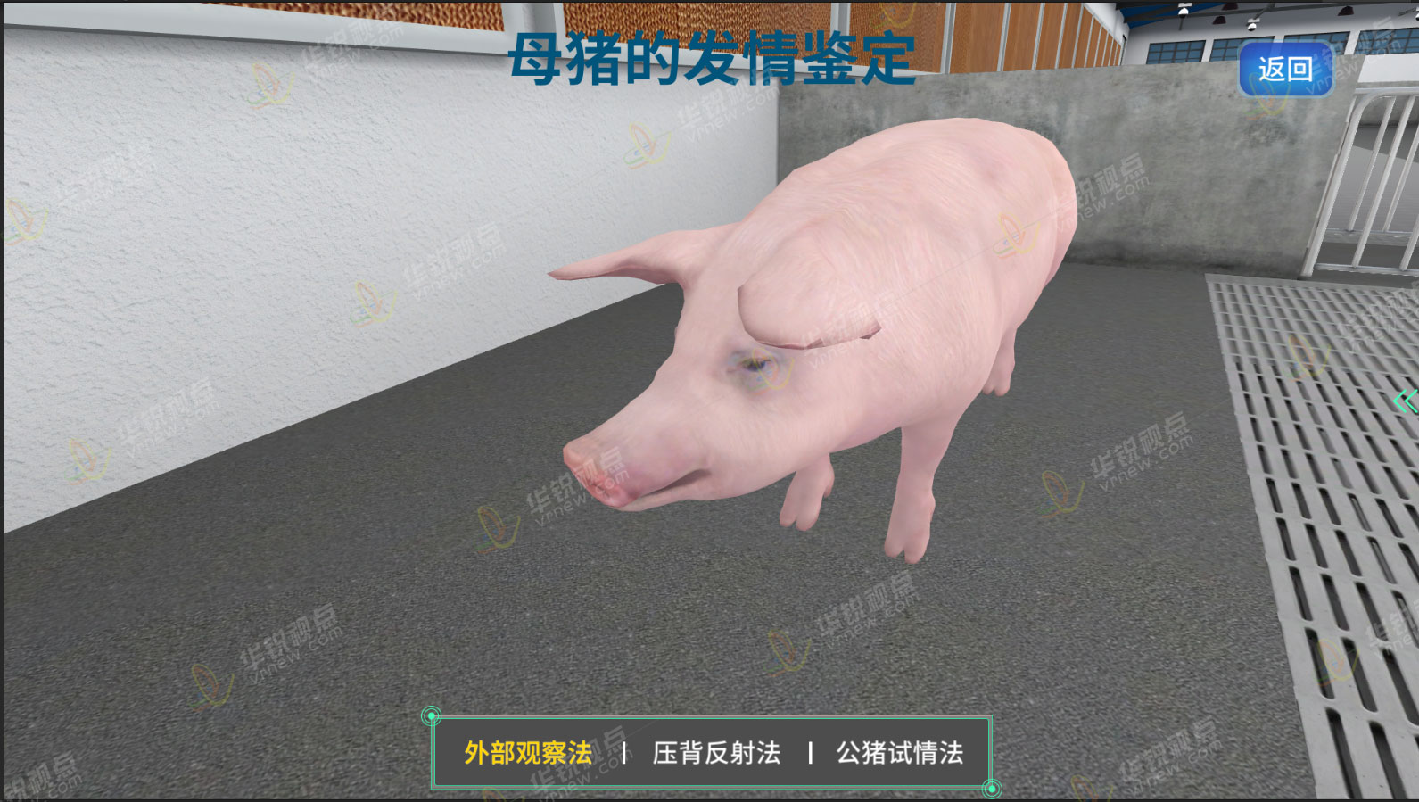 猪养殖虚拟仿真实训软件