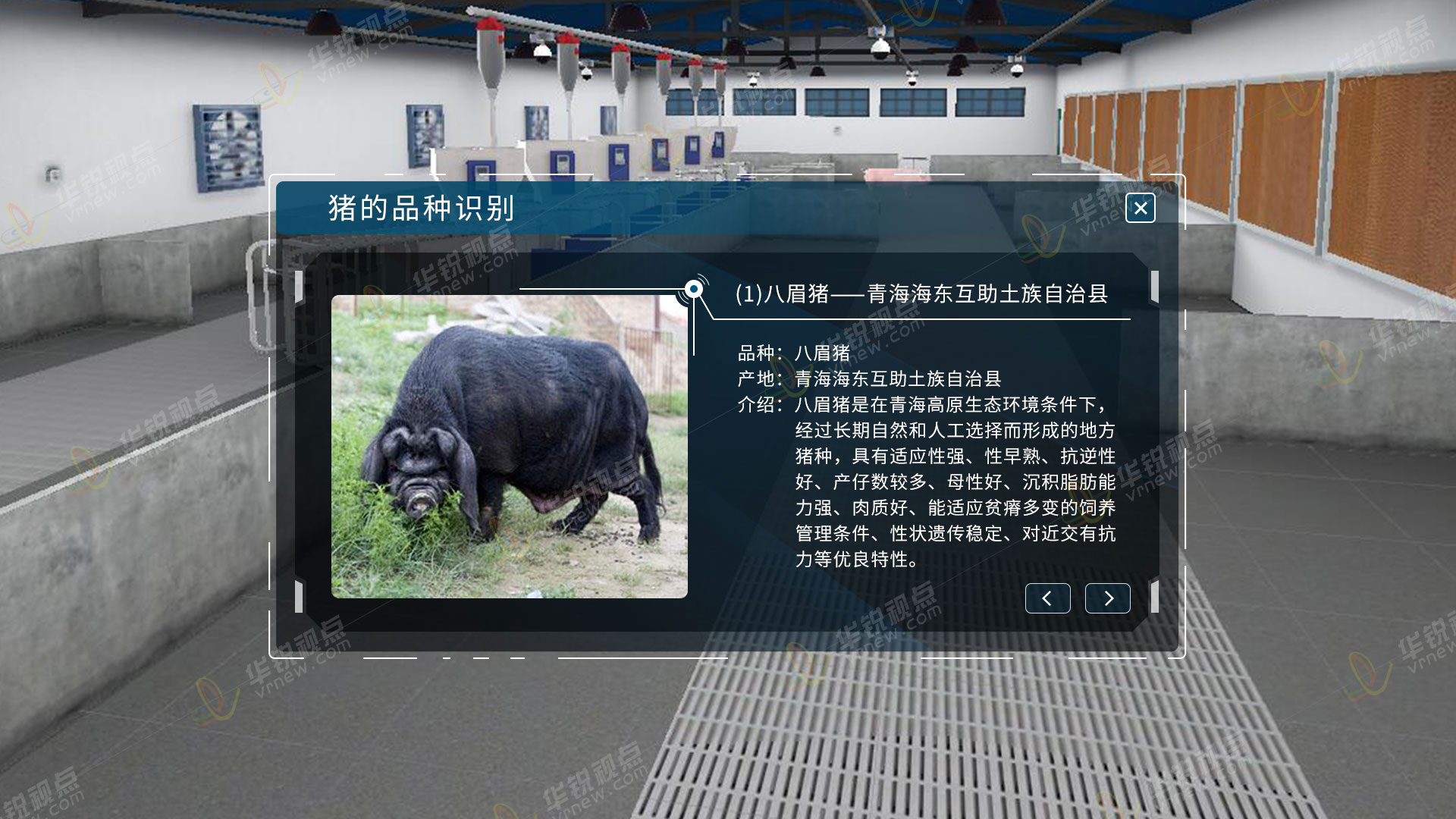 猪养殖虚拟仿真实训软件
