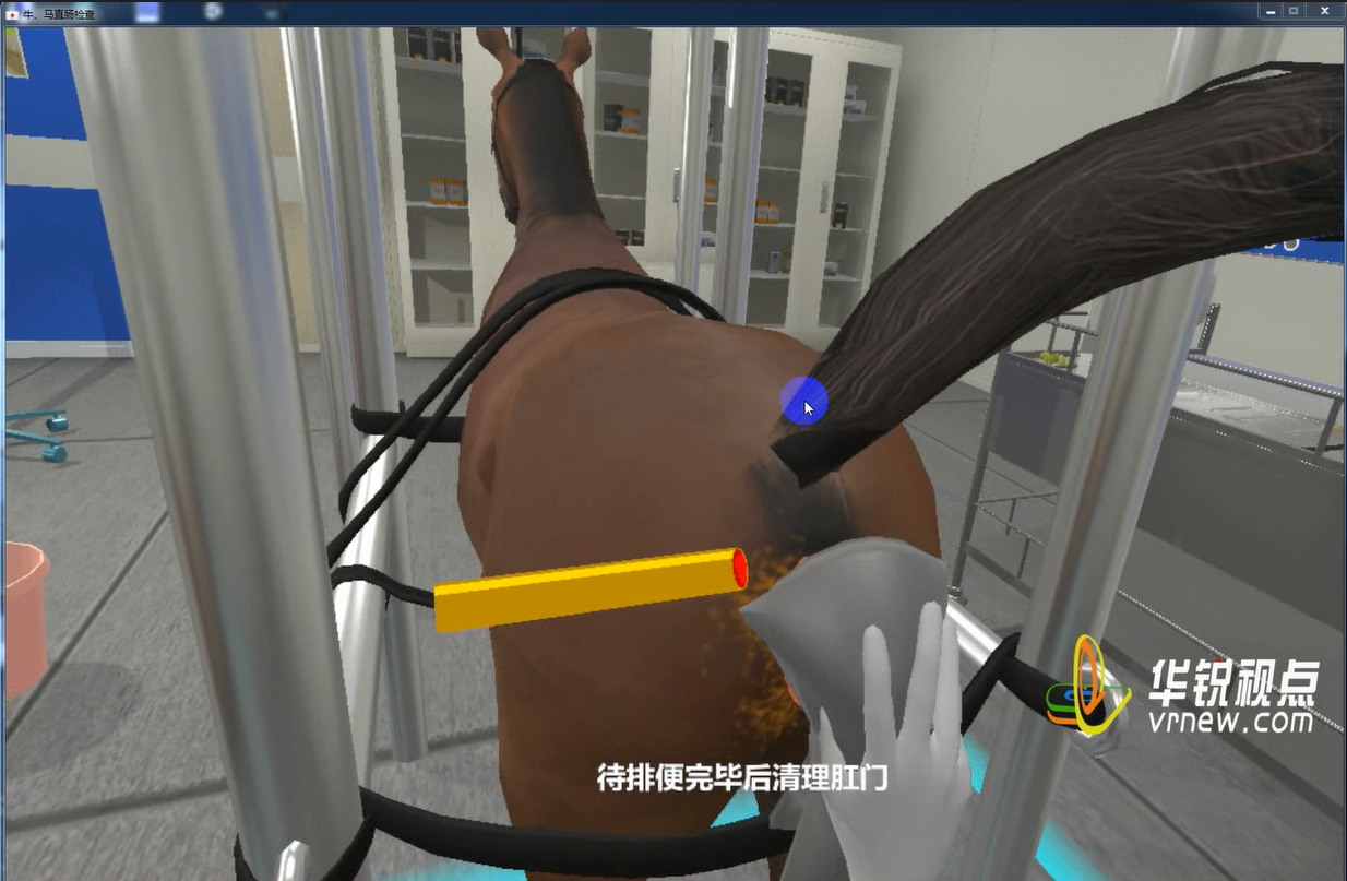 牛、马直肠检查虚拟仿真实验