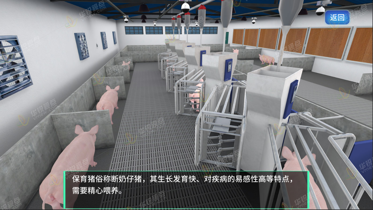 猪养殖虚拟仿真实训软件