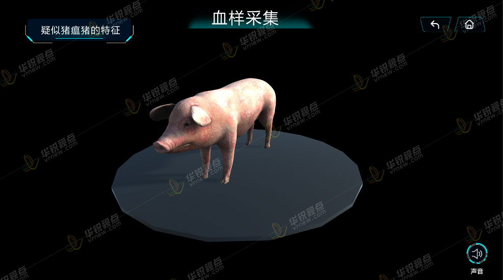 畜牧虚拟仿真之猪瘟检测实验VR虚拟教学系统