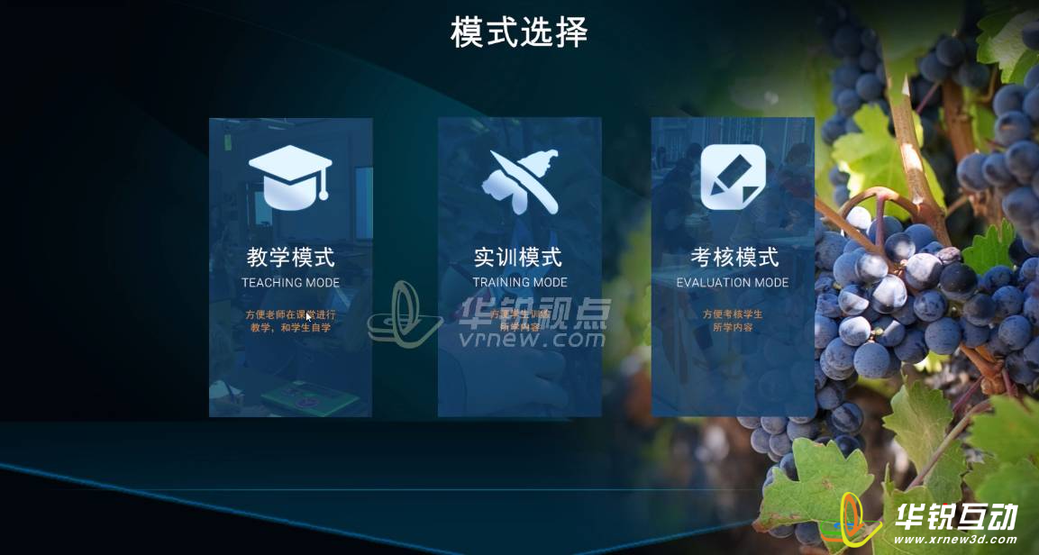 葡萄栽培VR实训课件提供哪些互动内容?