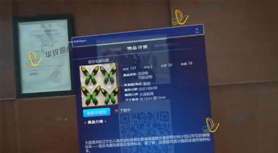 VR昆虫知识课件可以带来哪些价值?