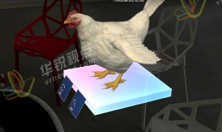 AR模拟（鸡）动物解剖教学软件