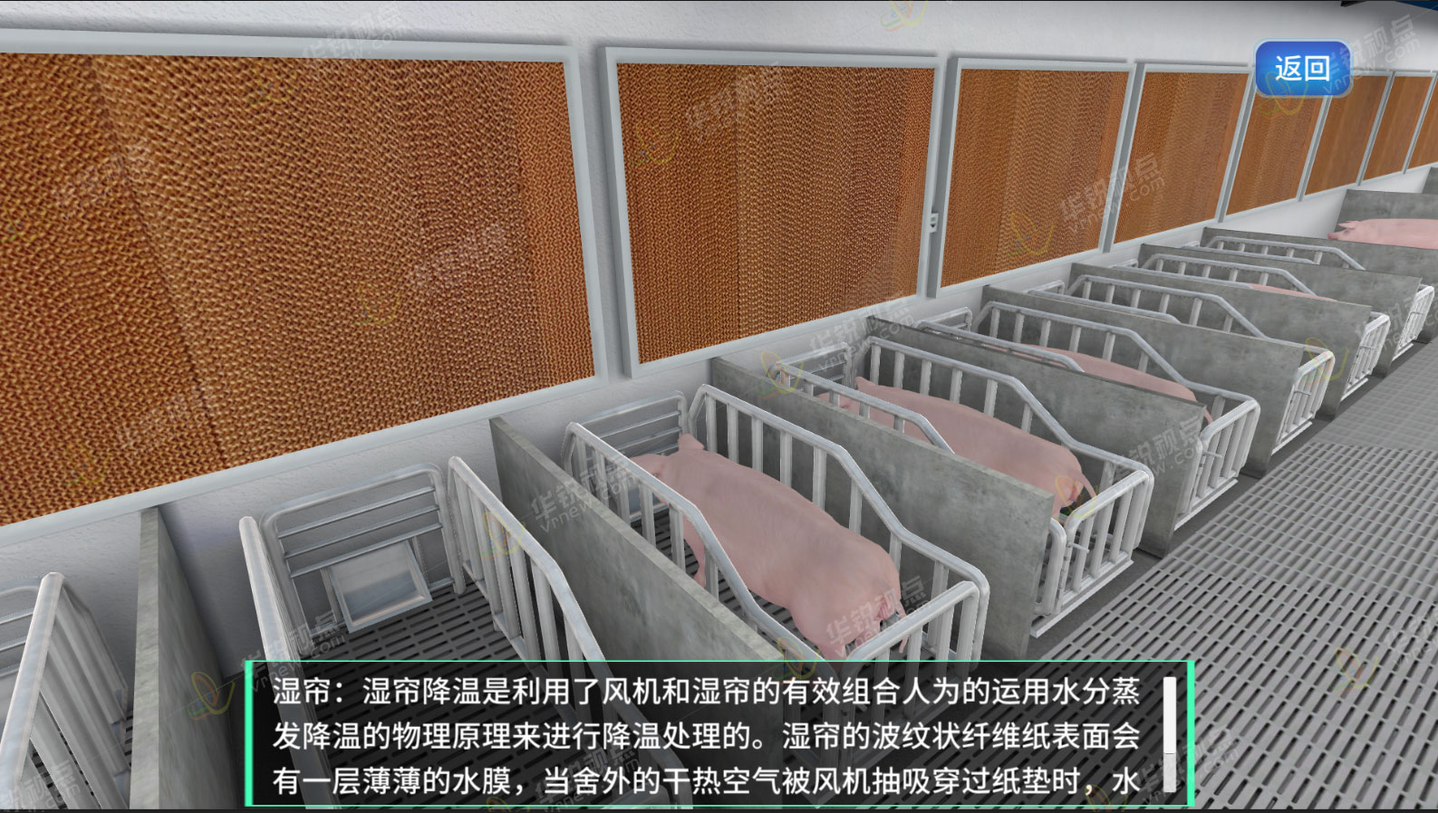 保育猪饲养3D虚拟仿真教学的特色