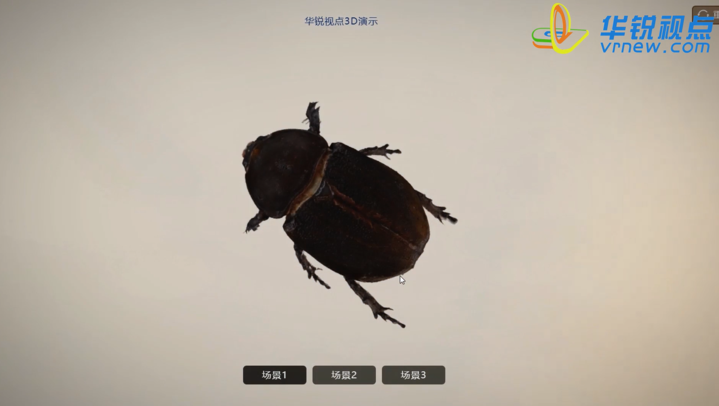 软体动物VR互动学习平台：让学习变得更加有趣和真实