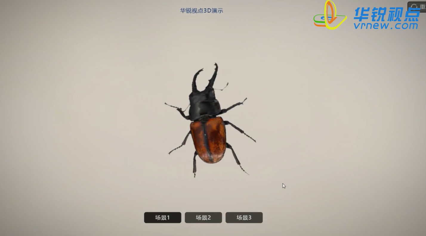 昆虫百科3D虚拟展示帮助学生深入了解昆虫知识