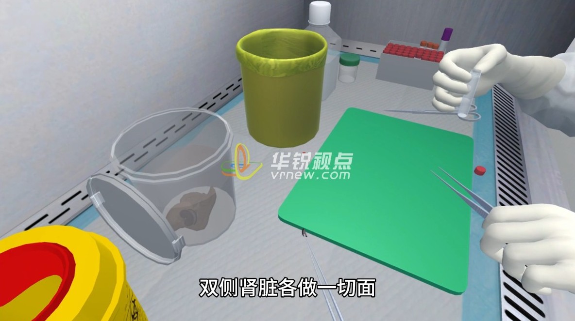 VR展现猴子虚拟仿真实验