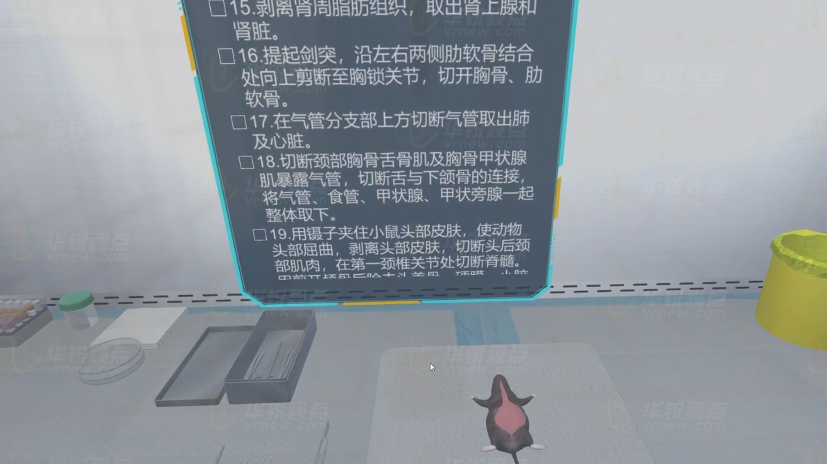 VR小鼠解剖虚拟仿真实验