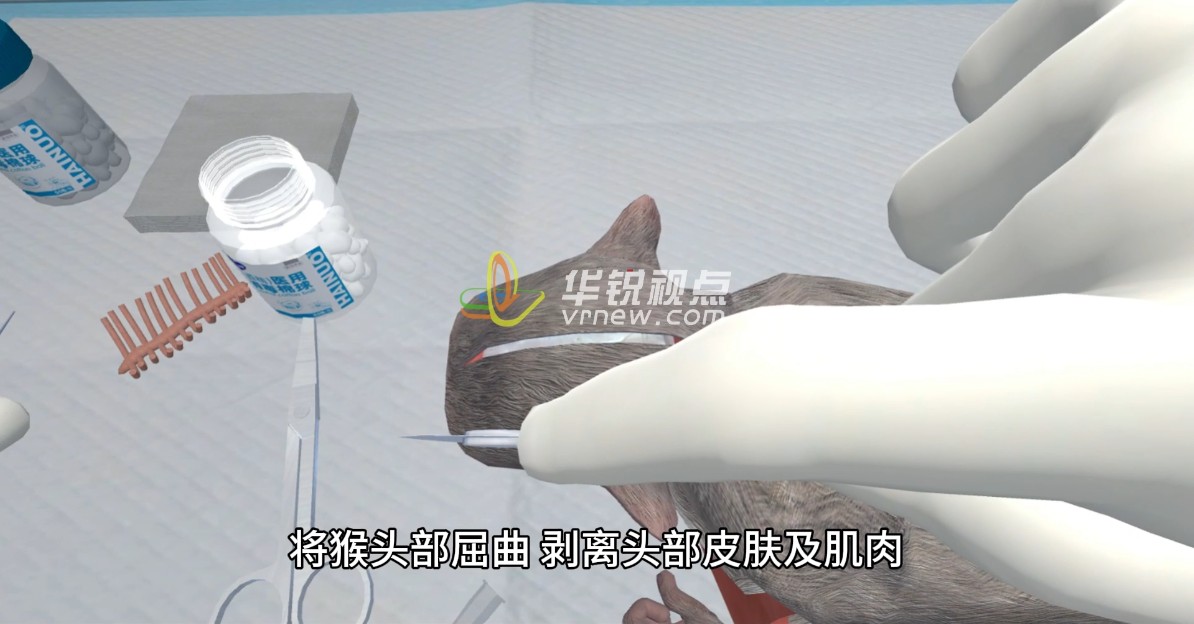 VR展现猴子虚拟仿真实验