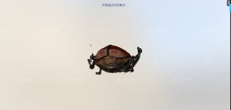 AR甲壳虫学习