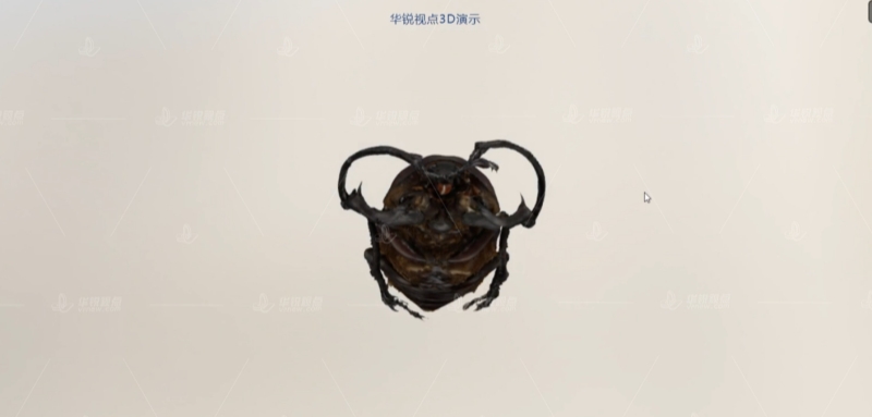 AR甲壳虫学习