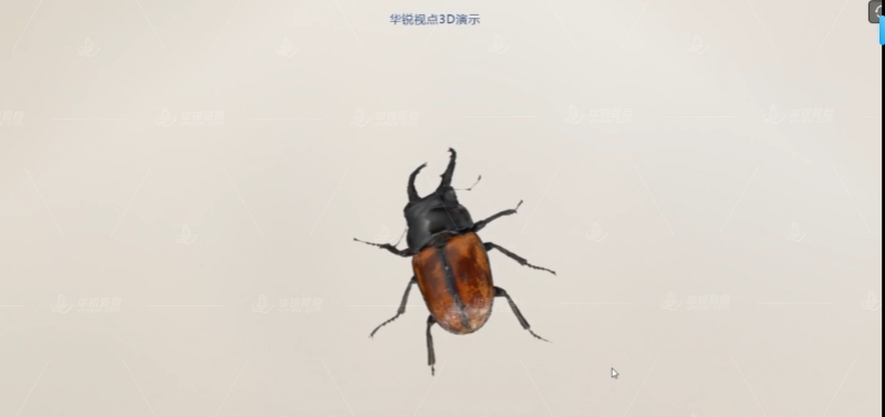 AR甲壳虫学习