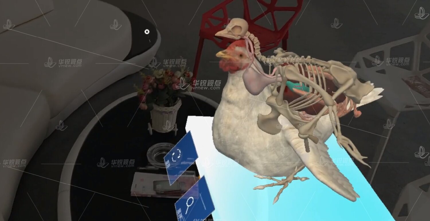 标本AR展示系统