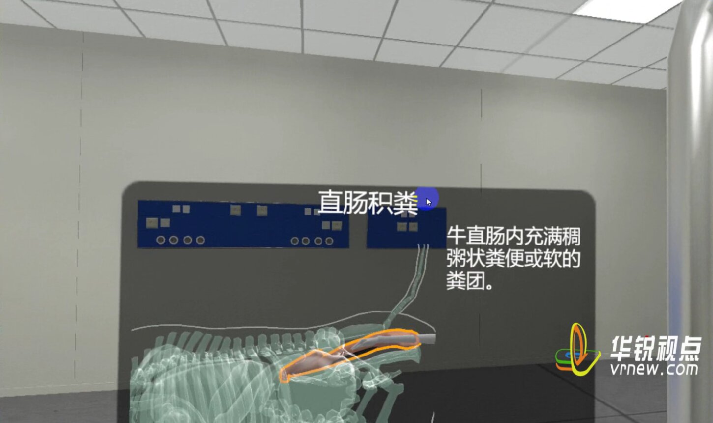 VR牛马直肠检查虚拟仿真