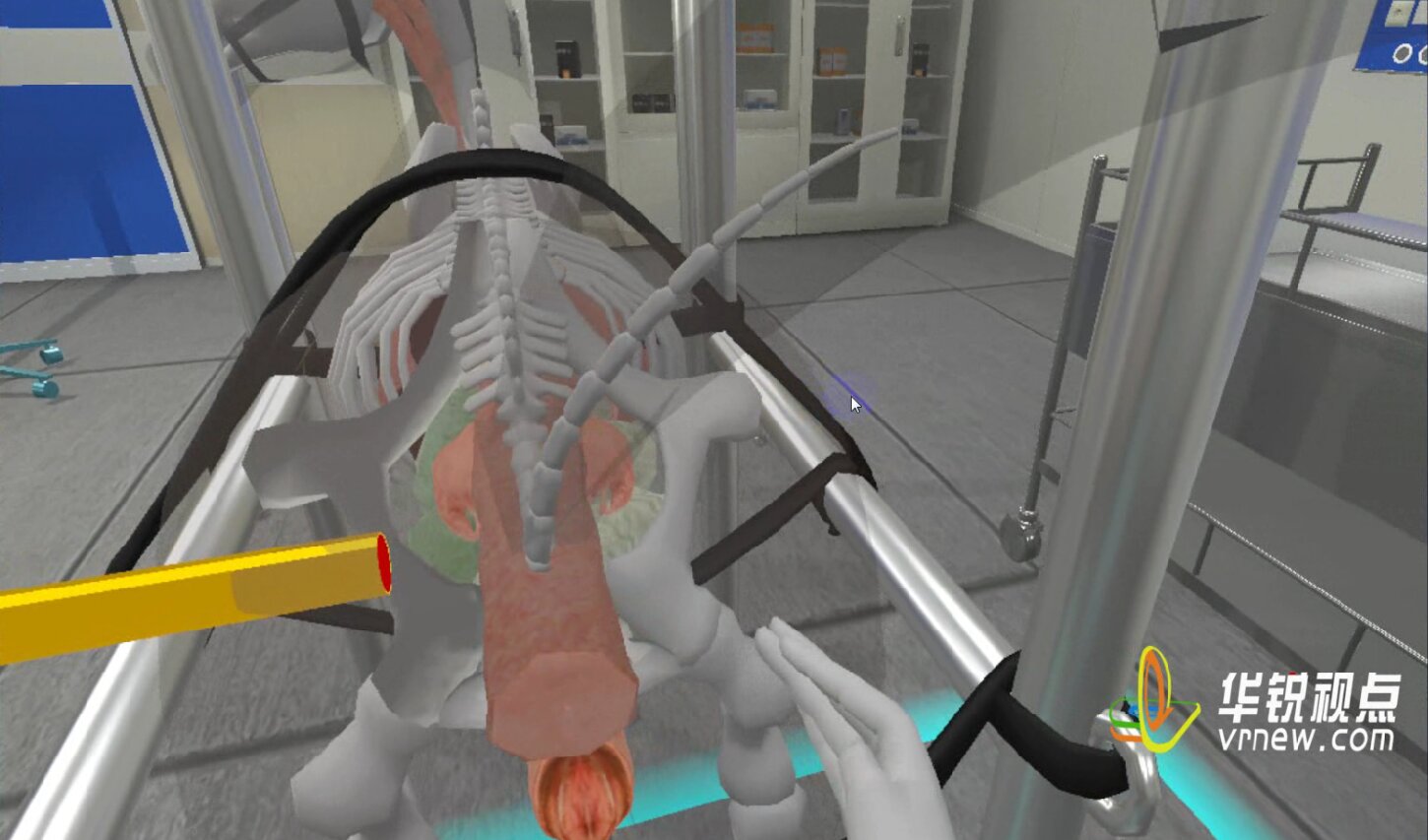 VR牛马直肠检查虚拟仿真