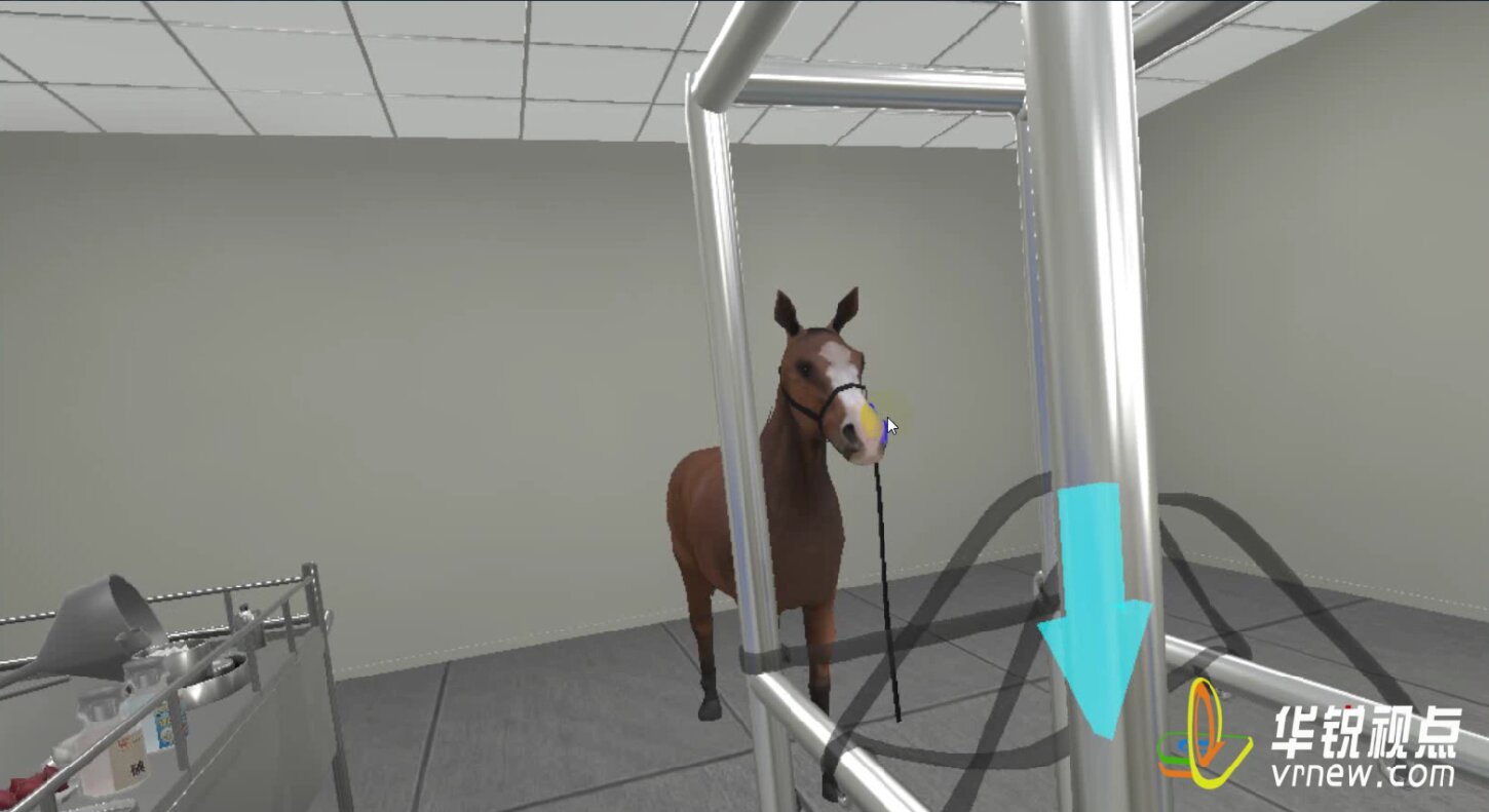 VR牛马直肠检查虚拟仿真