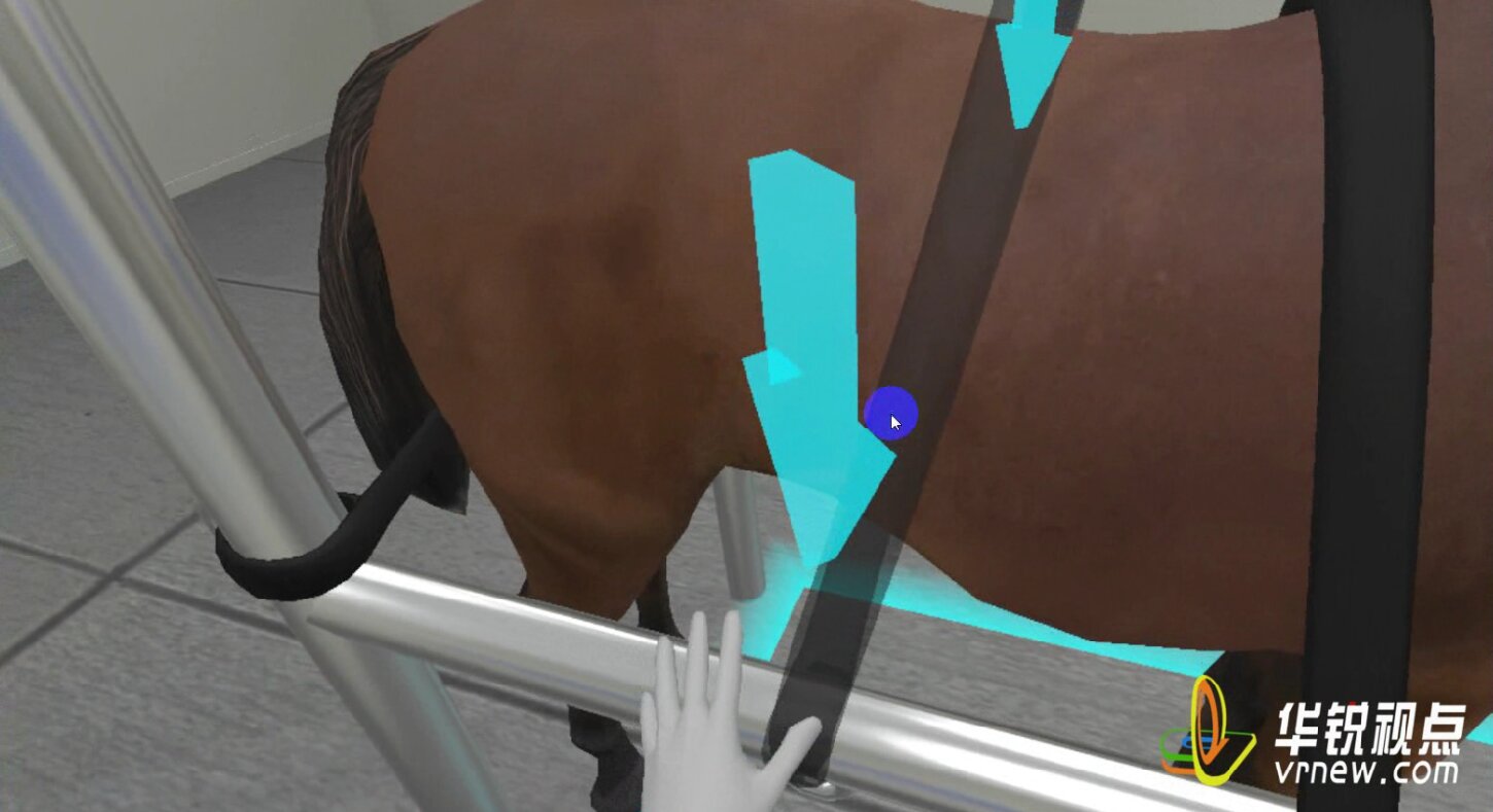 VR牛马直肠检查虚拟仿真