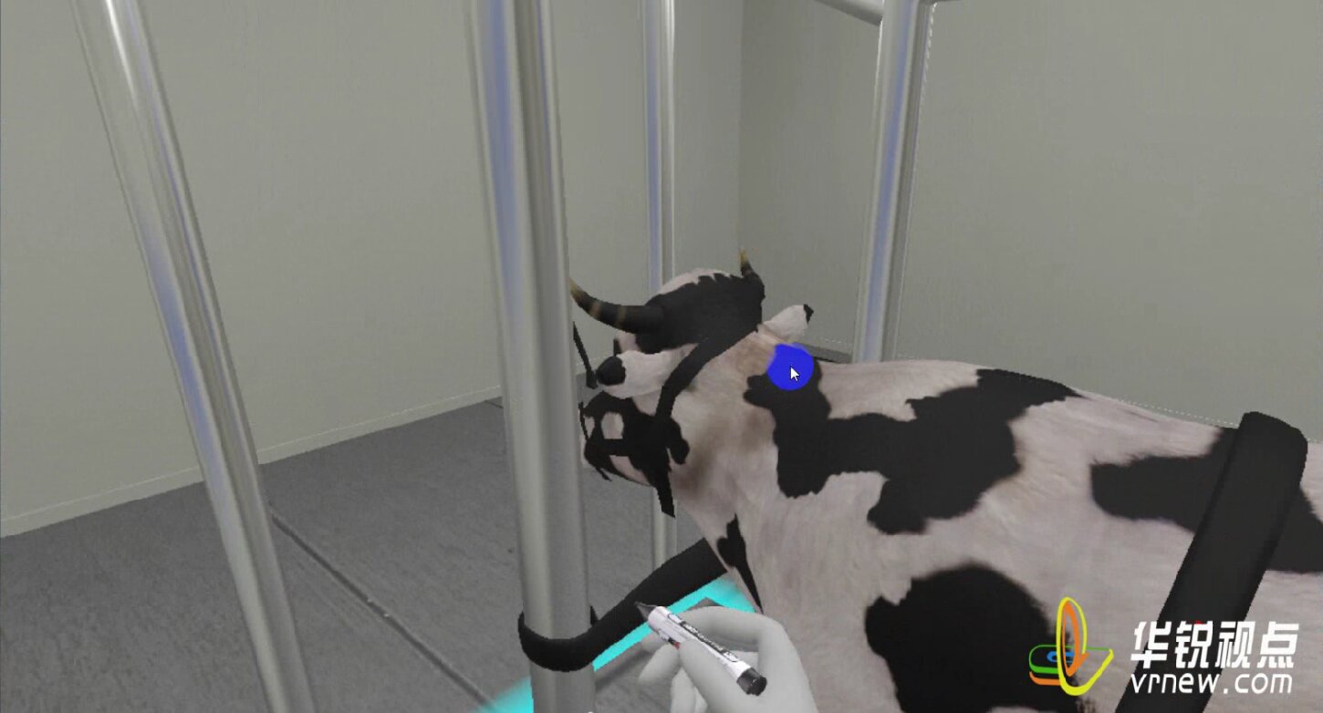 VR牛马直肠检查虚拟仿真